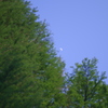 IMGP6237