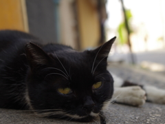 IMGP0710