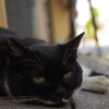 IMGP0710