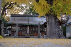 いま撮ってきました。