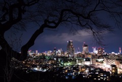 愛宕神社から見た夜景