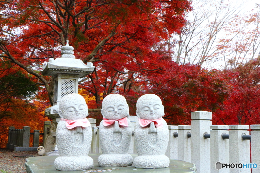 今年も秋が来たんだね。ネエ・・・フクロウ君！
