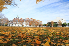 銀杏並木　水戸歴史館
