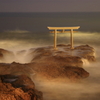 静夜の神磯鳥居