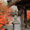 薬王寺　紅葉