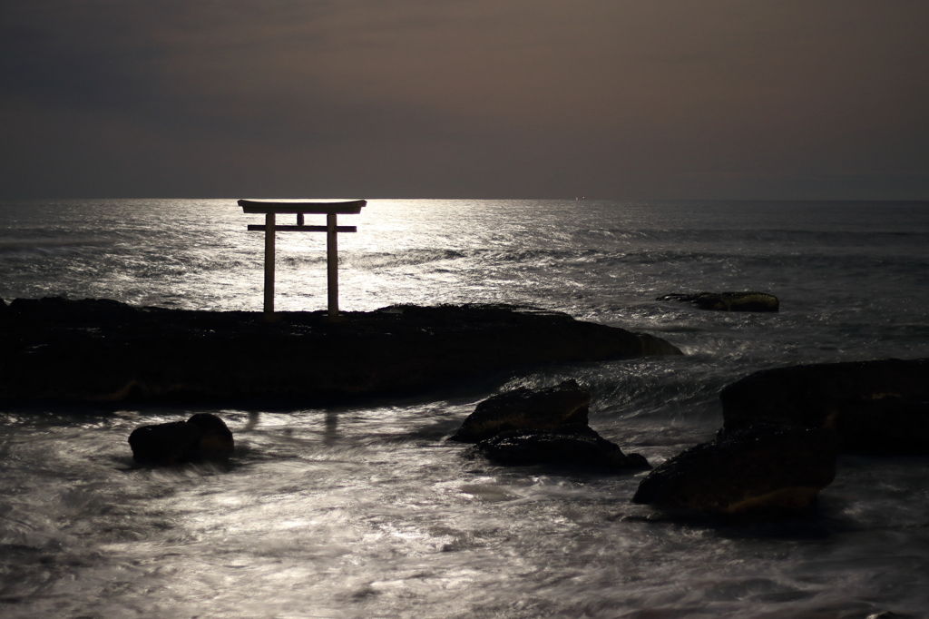 月夜の鳥居