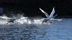 スクランブル発進　SWAN部隊