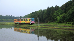 ひたちなか市　ローカル線