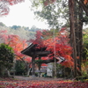 薬王寺　紅葉