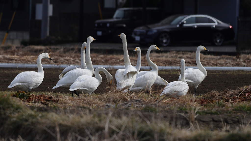 撮影禁止よ！ランチタイム
