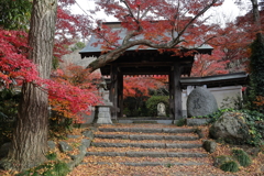 薬王寺　紅葉