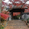 薬王寺　紅葉