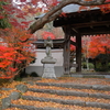 薬王寺　紅葉