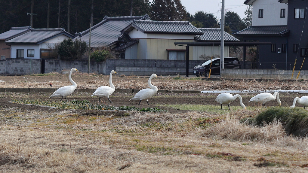 撮影禁止よ！ランチタイム