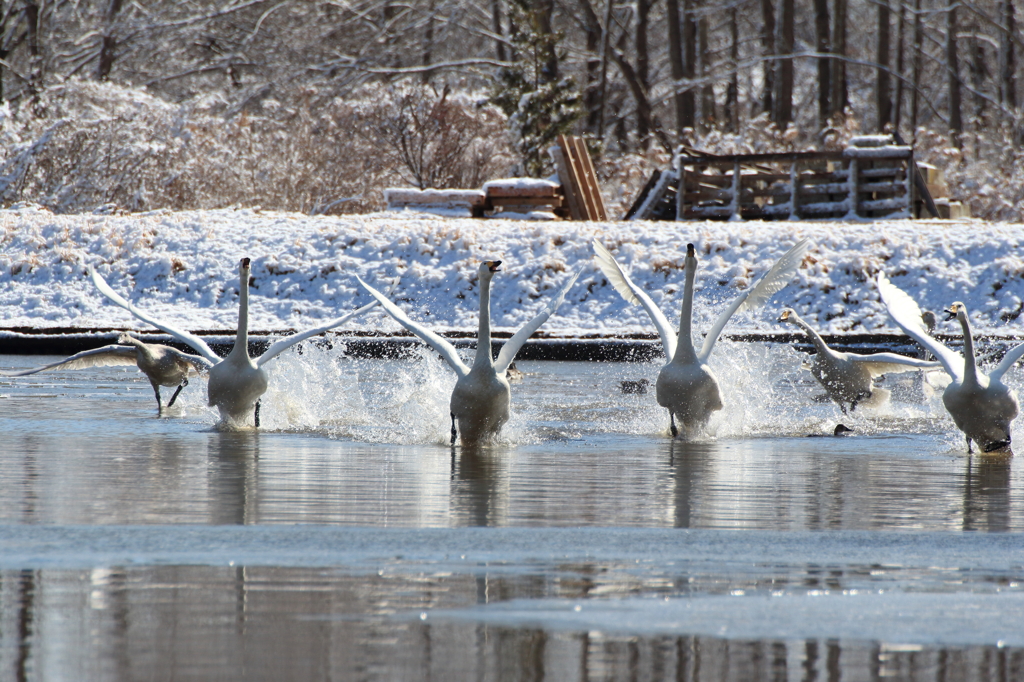 まだ生きてますか？