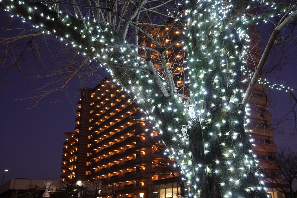 ご近所のモールにて(手持ち夜景モード）