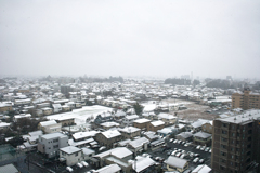 霧と雪５