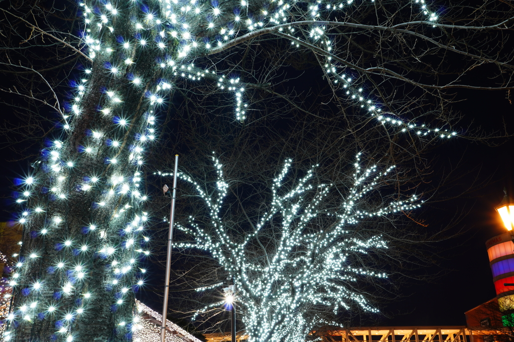 ご近所のモールにて(三脚にて）