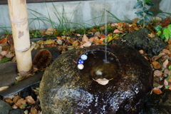 雨上がりの小江戸８