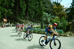 森のロードレース１