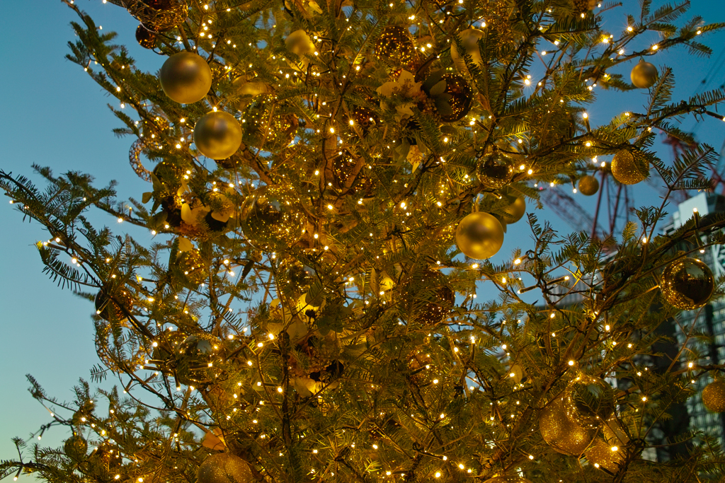 もうすぐXday ４