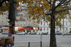 ウィーンの秋１