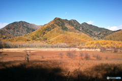 ２０紅葉　小田代ヶ原