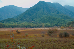 初秋　小田代原
