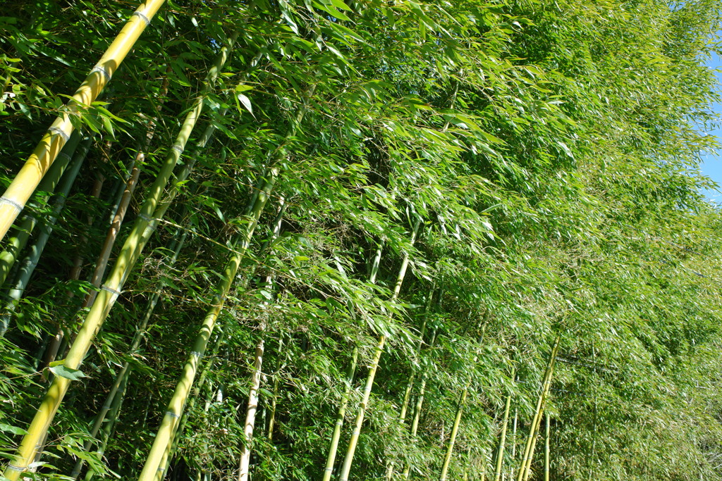 陽だまりツーリング