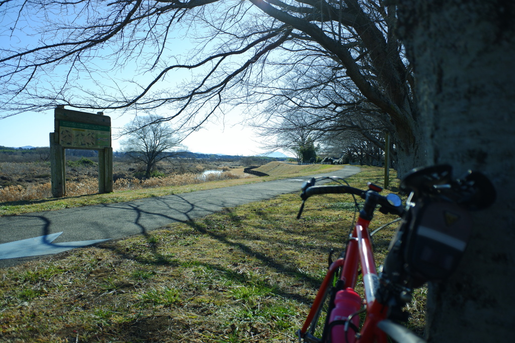 陽だまりツーリング