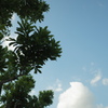 夏空の元２