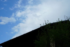 雨上がりの小江戸１２