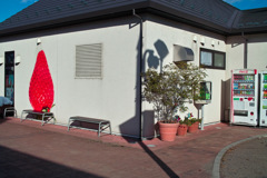 下野の日溜まり 7