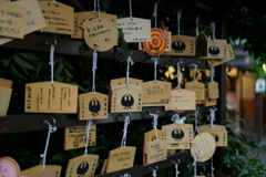 雨の小江戸　１