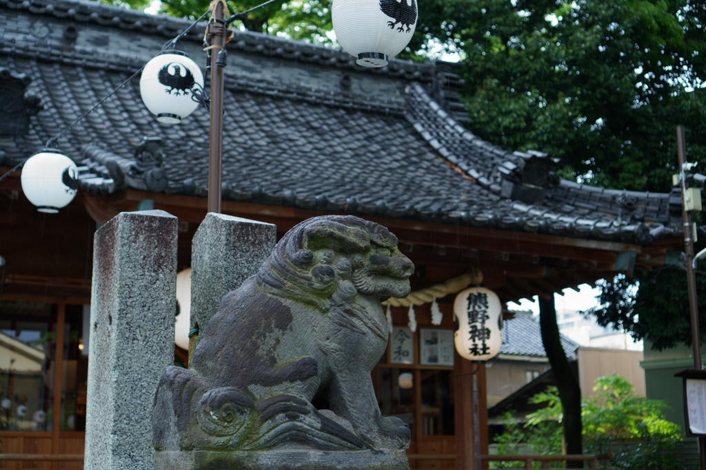 雨の小江戸　２