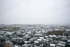 霧と雪６