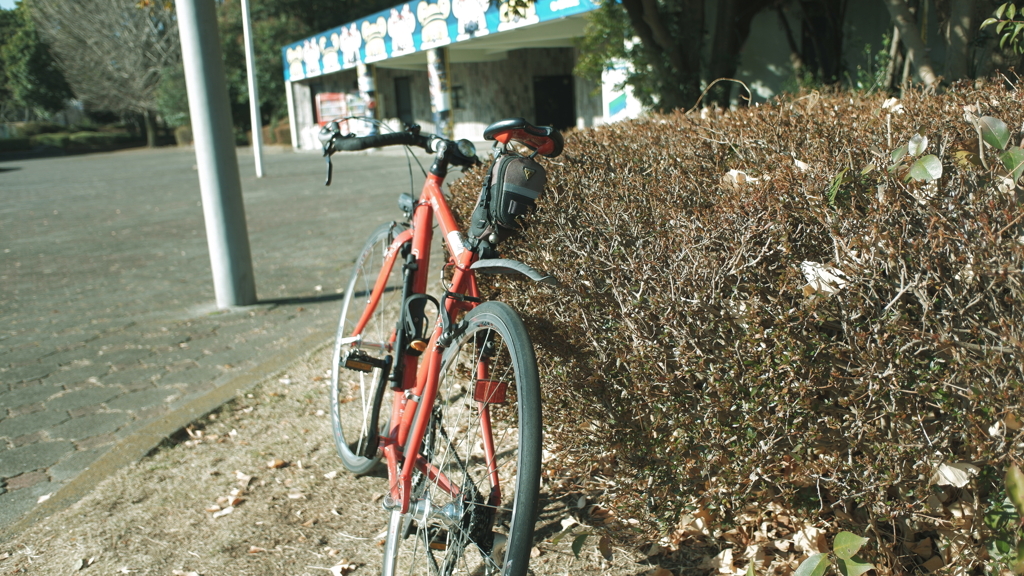 冬の散歩道５