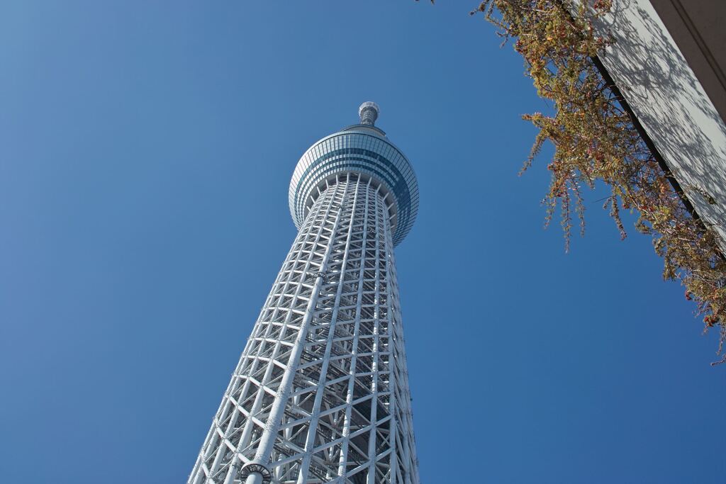 23 Skytree ツアー 6