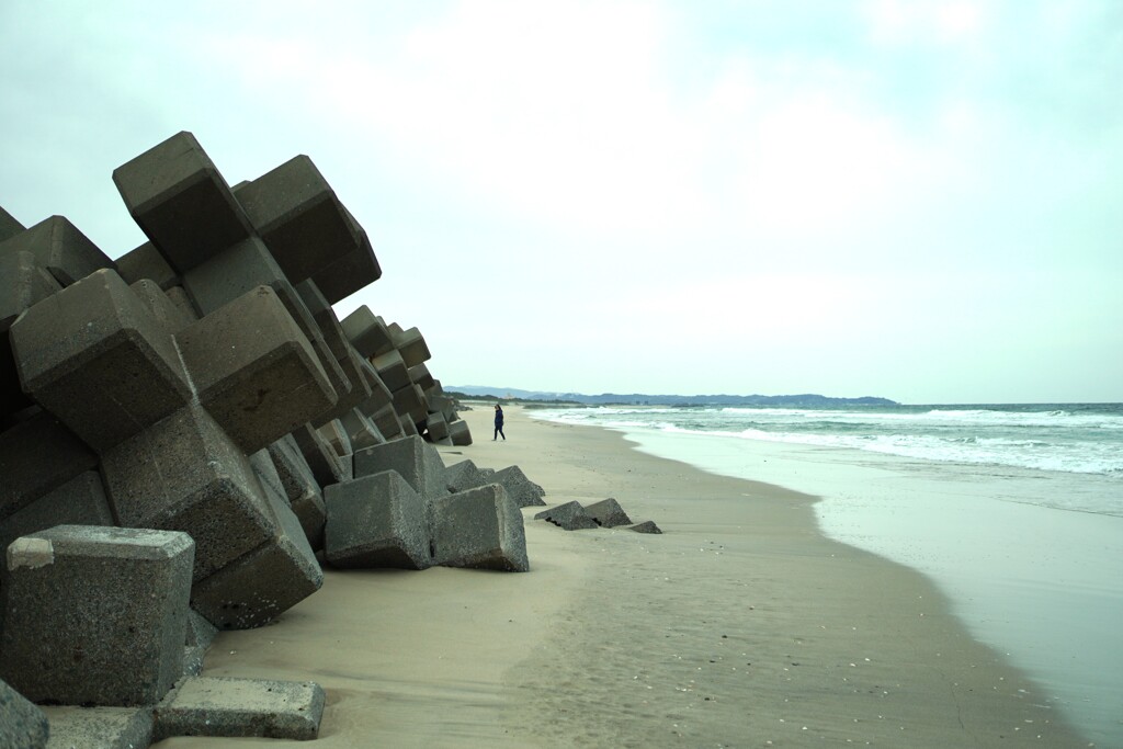 春の舞小浜１