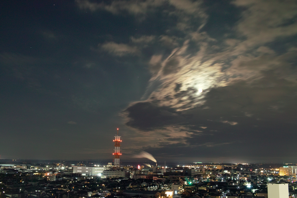 月と狼