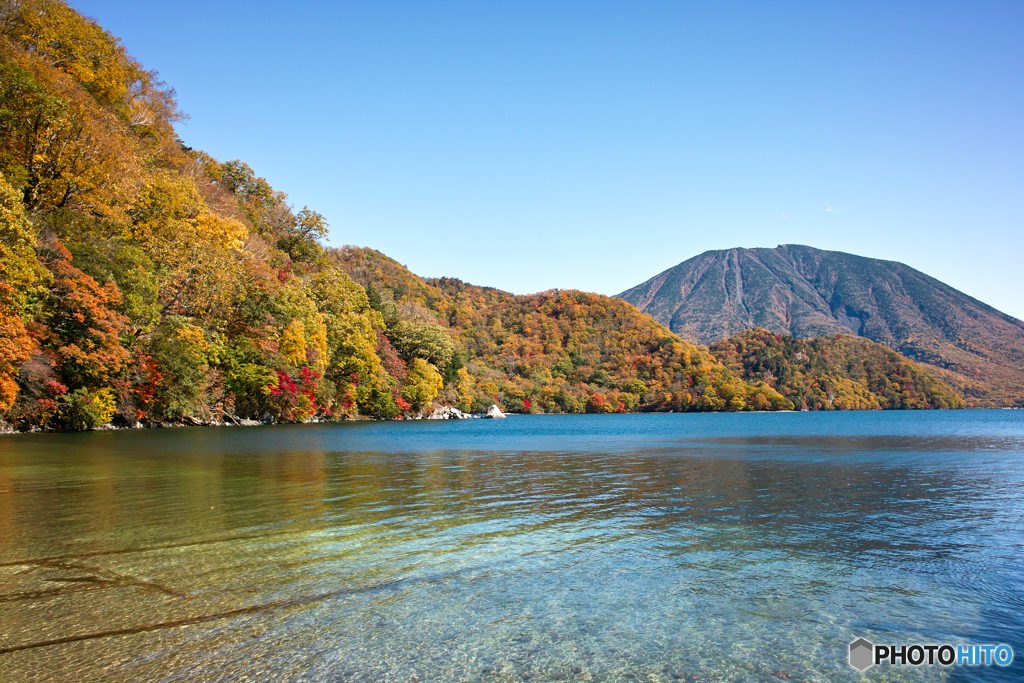 ２０紅葉　千手ヶ浜