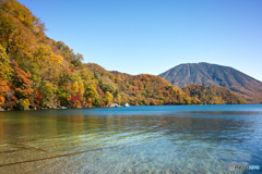 ２０紅葉　千手ヶ浜