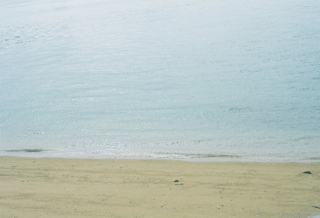 白く輝く海