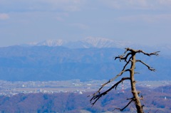 下市山山頂
