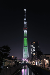 スカイツリー　クリスマス特別ライティング　「ホワイトツリー」