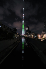 スカイツリー　クリスマス特別ライティング　「ホワイトツリー」