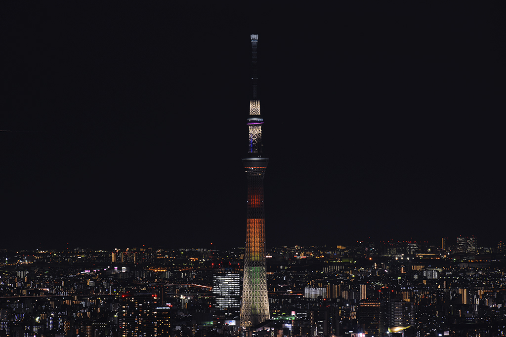 サンシャイン60展望台から見たスカイツリー