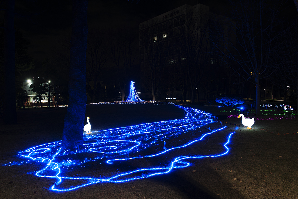 千葉工大内のクリスマスイルミネーション