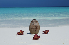 モルディブ　トラギリアイランド