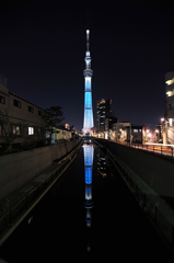 水面に写る逆さスカイツリー「冬粋」